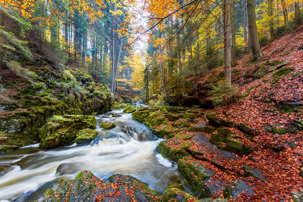 Autunno, autunno fiume selvaggio Doubrava, paesaggio pittoresco
. - Foto, immagini