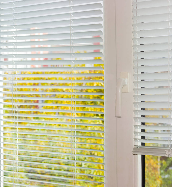 Λευκό ενετικά περσίδες πλαστικό παράθυρο στην φθινοπωρινή μέρα - Φωτογραφία, εικόνα