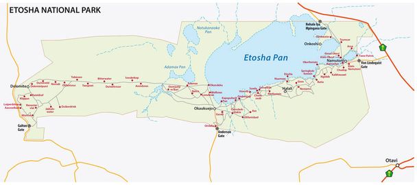 Carte vectorielle du parc national d'Etosha, Namibie
 - Vecteur, image