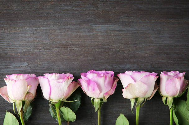 Beautiful pink roses  - Foto, immagini