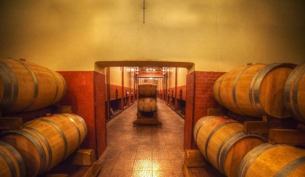 Barrells in wine cellar - Photo, Image