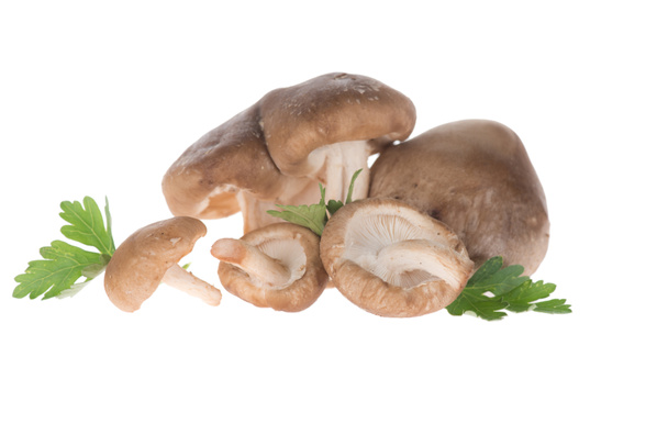 mushrooms with parsley - Фото, зображення