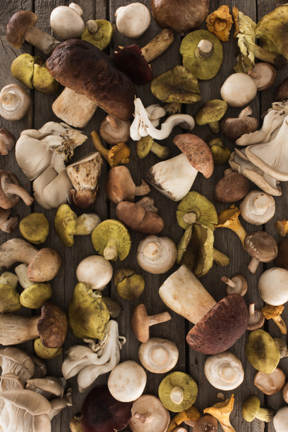 Diferentes tipos de cogumelos na mesa de madeira
 - Foto, Imagem