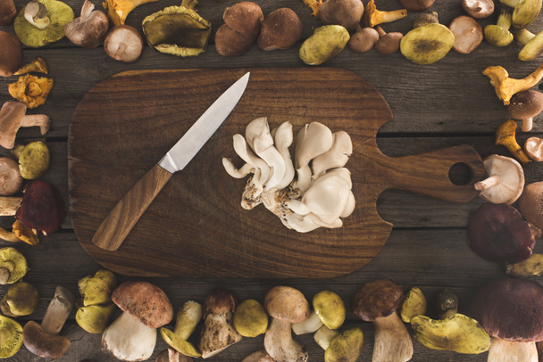 Osteri sienet ja veitsi leikkuulauta
 - Valokuva, kuva