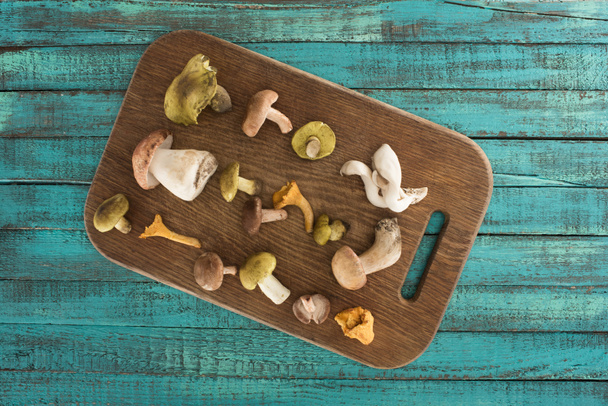 Diferentes tipos de cogumelos na tábua de corte
 - Foto, Imagem