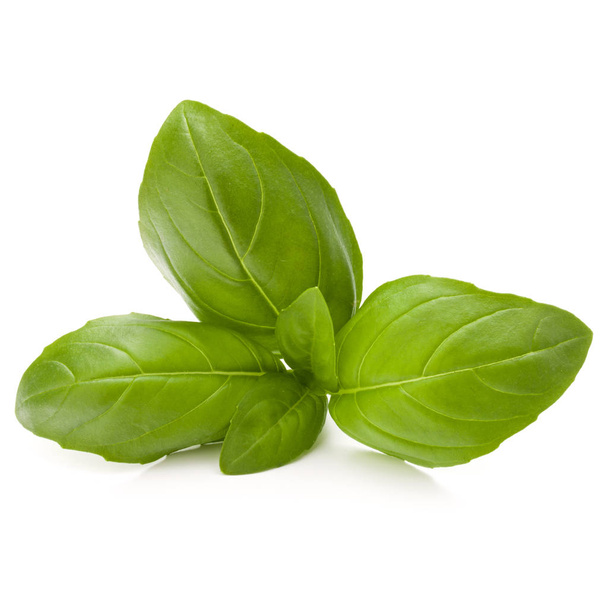 Sweet basil herb leaves  - Foto, afbeelding