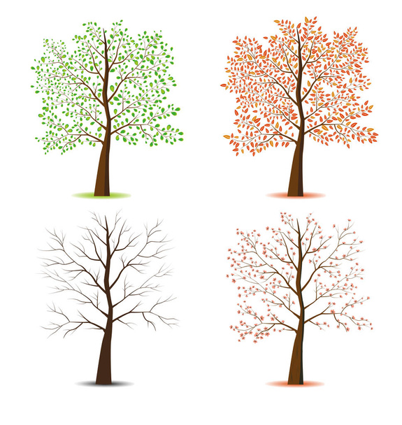 Set of stylized trees.  - Вектор,изображение