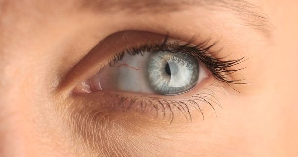 closeup of womans eye - Photo, Image