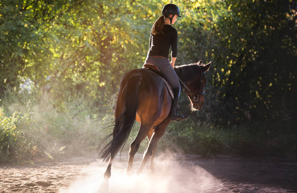 junges hübsches Mädchen reitet auf einem Pferd mit hinterleuchteten Blättern  - Foto, Bild