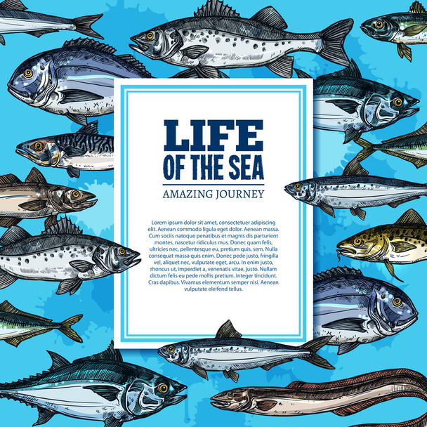 Vektori kalat luonnos juliste meri elämä valtameri kala
 - Vektori, kuva
