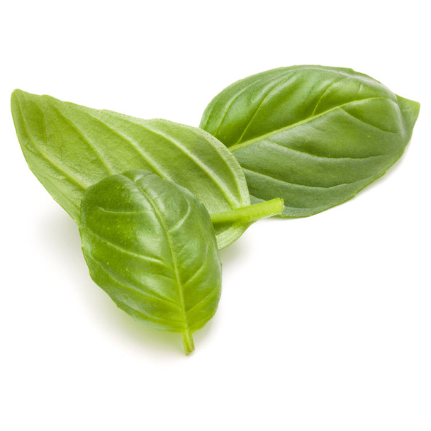 Sweet basil herb leaves  - Foto, Imagem