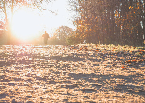 Ένα jog πρωί σε ένα ηλιόλουστο θολή φόντο. Φθινόπωρο στο πάρκο το πρωί.  - Φωτογραφία, εικόνα