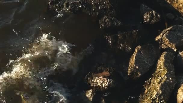 Breaking waves on rocks - Footage, Video