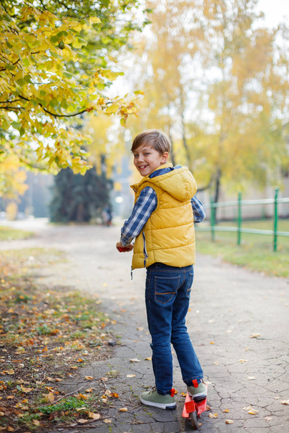 Cute little kid boy enjoying in autumn park. - Foto, immagini