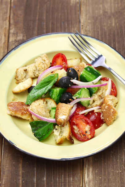 Panzanella, Toscaans brood en tomaat Salade - Foto, afbeelding