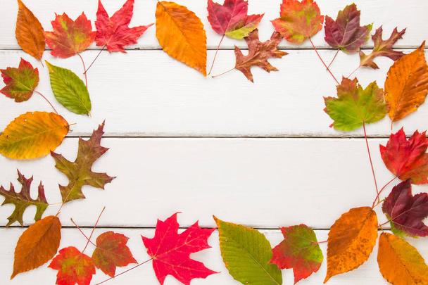 Composition du cadre d'automne de feuilles colorées
.  - Photo, image