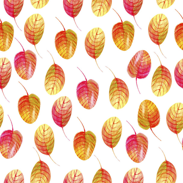 Watercolor seamless pattern with leaves.  - Photo, Image