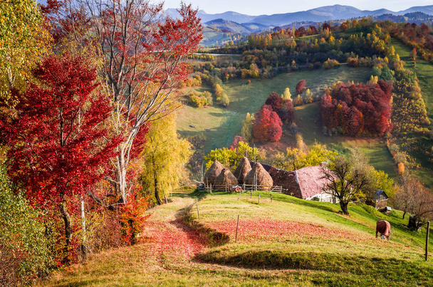 山の秋の風景 - 写真・画像