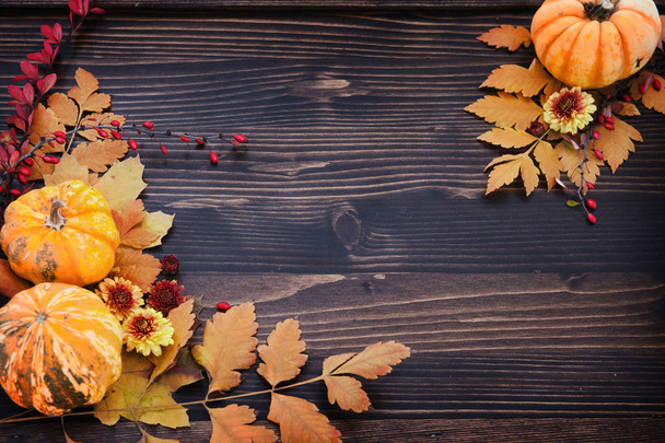 Herfst achtergrond van pompoenen, bladeren, bessen en bloemen - Foto, afbeelding