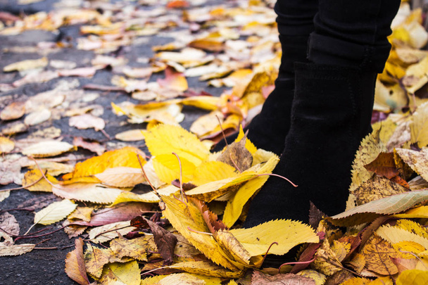 female boots in autumn leaves - Photo, Image