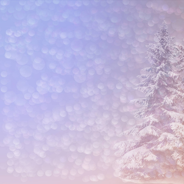 Fondo de Navidad con abeto nevado borroso y bokeh perlado
 - Foto, Imagen