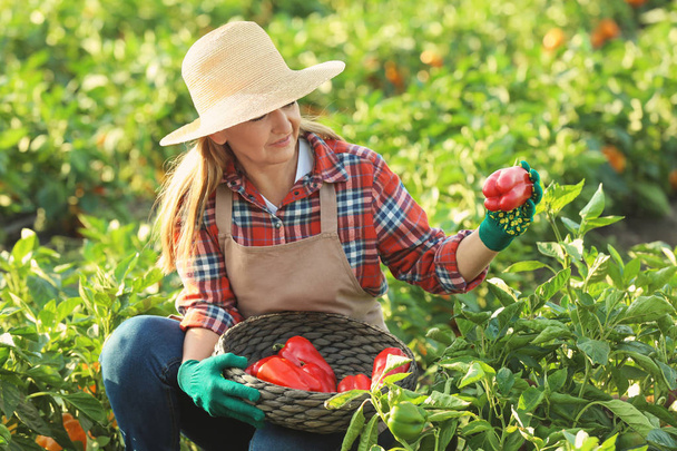 Female farmer working in field - Zdjęcie, obraz