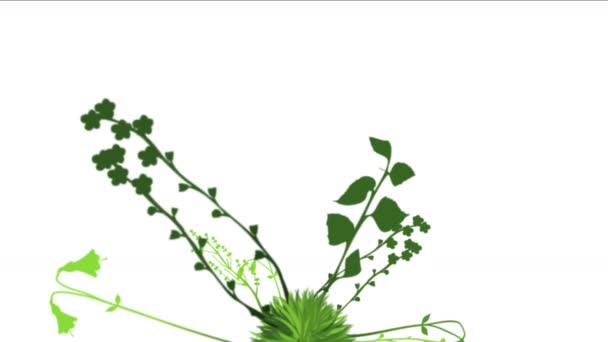 4k üppige Blume Blätter Pflanzen Sträucher Sträucher pflanzen Gras wachsen. - Filmmaterial, Video