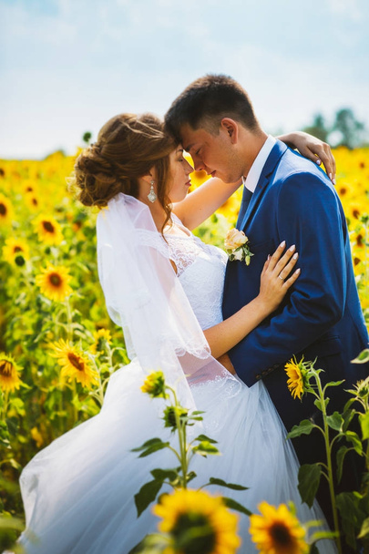 bride and groom against the background of a field of sunflowers - Foto, Bild