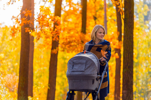 A young mother with a stroller walks through the autumn park - Zdjęcie, obraz
