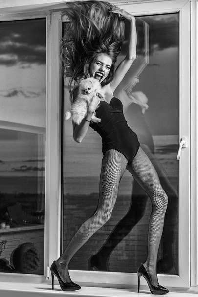 vwoman at window with dog - Valokuva, kuva