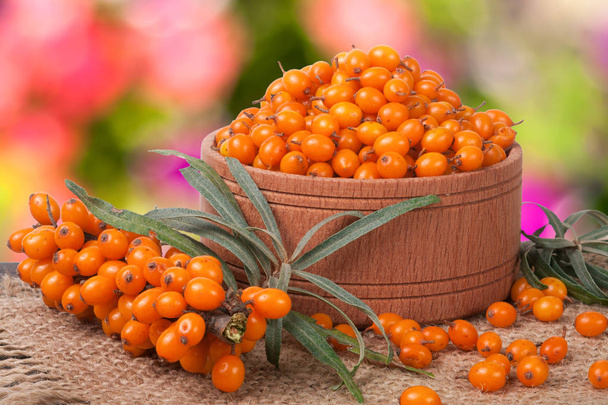Sea-buckthorn berries in a wooden bowl on table with blurred garden background - Photo, Image