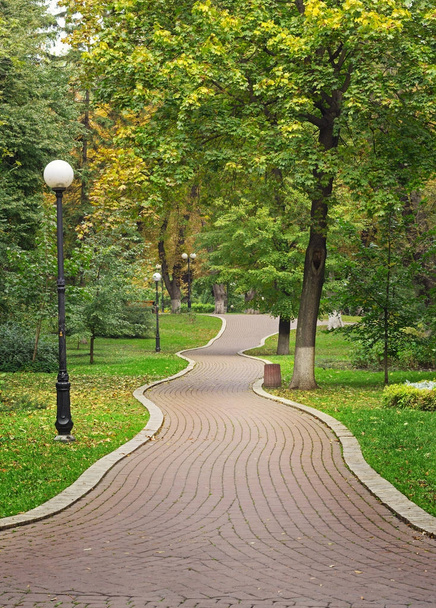 Route dans le parc Maryinsky
 - Photo, image