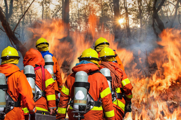 bombeiros preparando equipamentos na floresta
 - Foto, Imagem