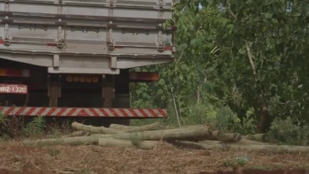 Puu aidan - Amazon
 - Materiaali, video