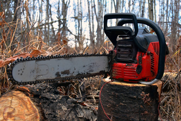 Old Red Chainsaw - Photo, Image