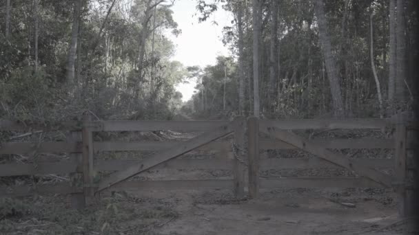 Farm Gate - Amazon - Footage, Video