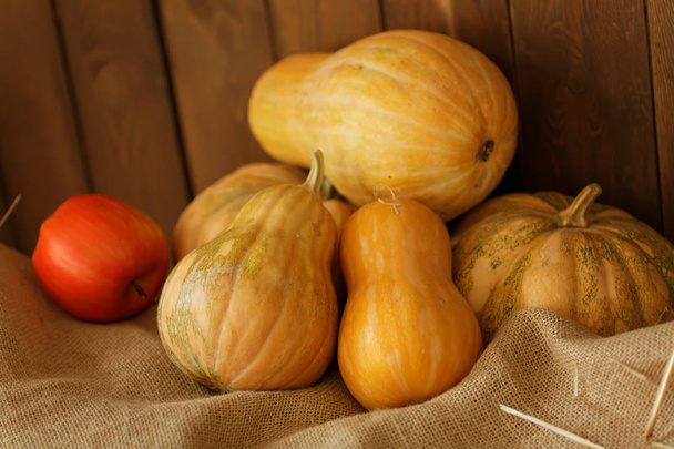 秋野菜。カボチャ、りんご - 写真・画像