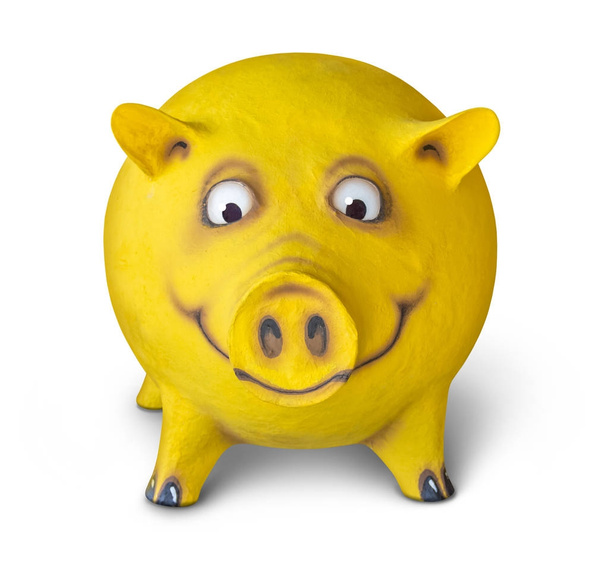 porco amarelo engraçado
 - Foto, Imagem
