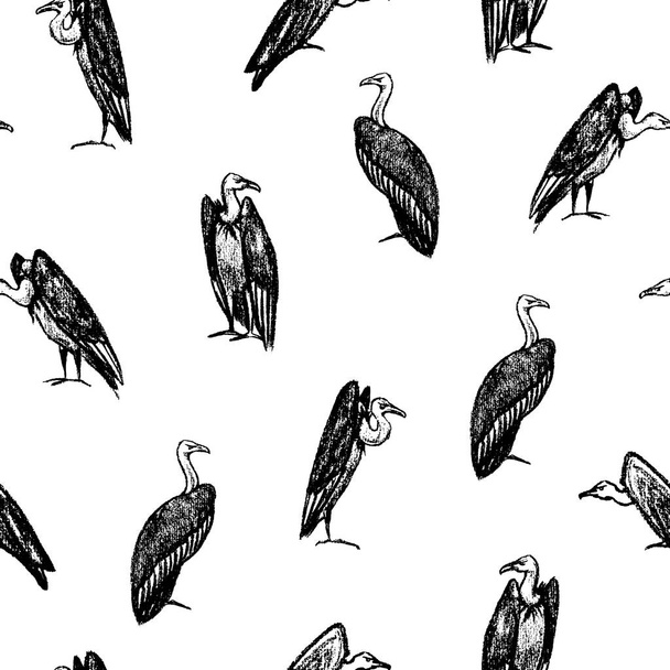 Hand drawn vultures pattern - Vector, imagen
