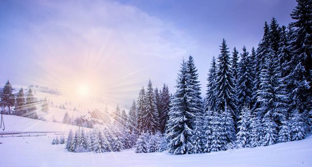 Christmas winter landscape - Foto, Imagen