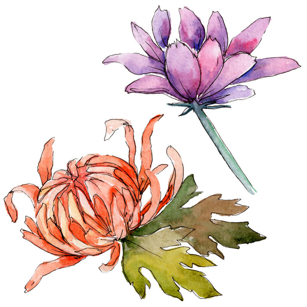 Fiore di girasole fiore in stile acquerello isolato
. - Foto, immagini