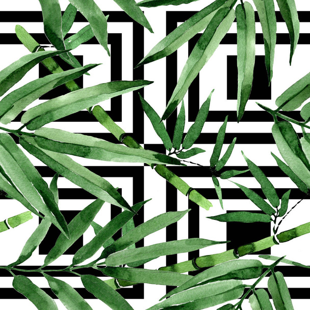 Trooppiset lehdet bambu puu kuvio akvarelli tyyli
. - Valokuva, kuva