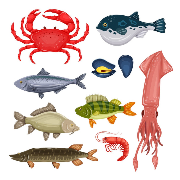 Seafood set with crab, fish, mussel and shrimp isolated on white background. Design for restaurant menu, market. Marine creatures in flat style - vector illustration - Vector, afbeelding