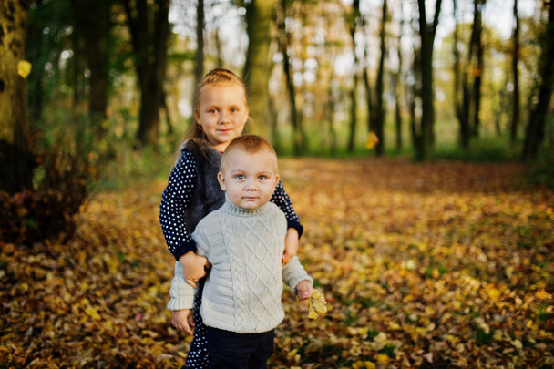 Little girl with boy at majestic autumn fall forest. Sister with - Foto, Imagen