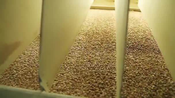 Flour mill production. - Séquence, vidéo