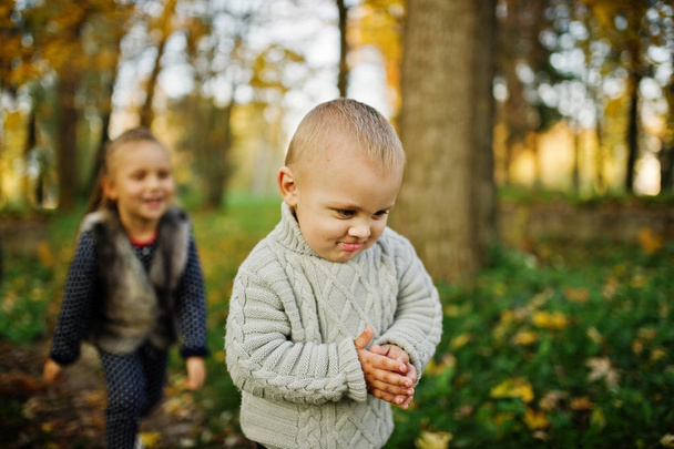 kleines Mädchen mit Junge im majestätischen Herbstwald. Schwester mit - Foto, Bild