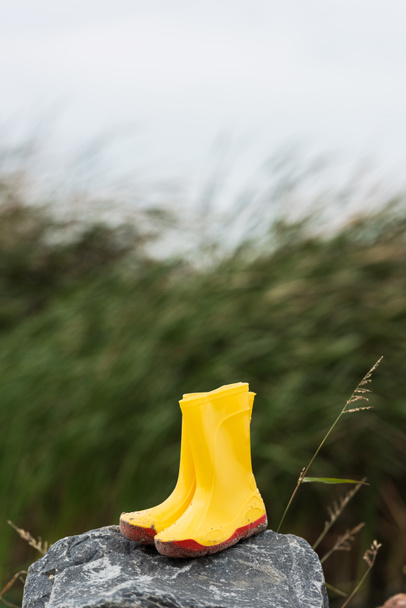 rain boots - Photo, Image