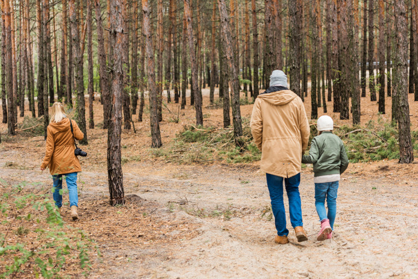 family walking by forest - Фото, изображение