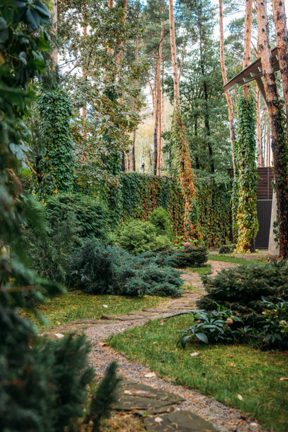 sentier entre buissons et chalet
 - Photo, image