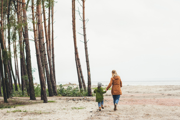 mother and son walking together on nature - 写真・画像